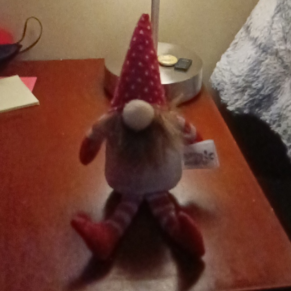 CHRISTMAS GNOME BEAN BAG